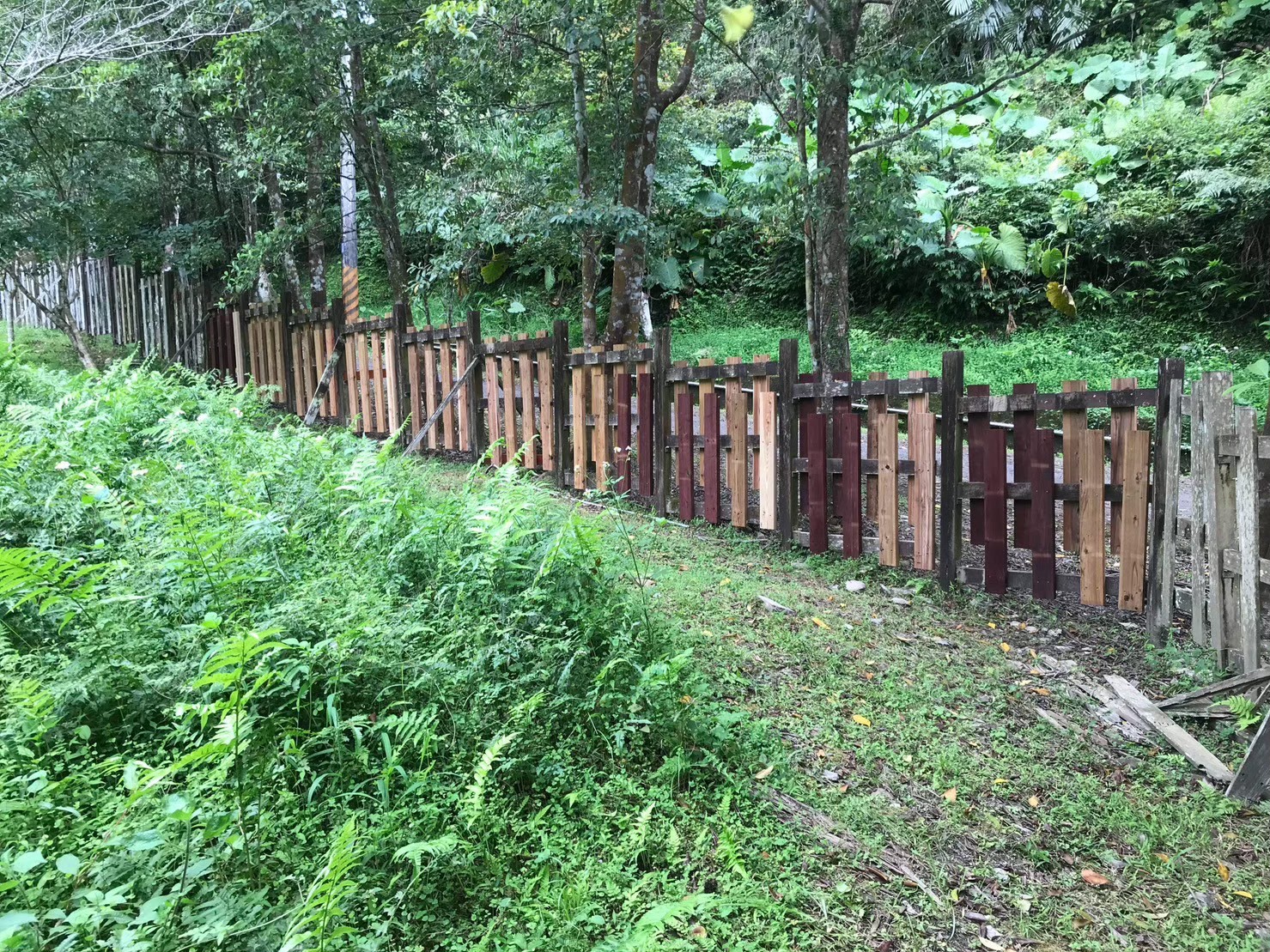 生活實驗室｜宜蘭｜實踐淨零碳排的木圍籬