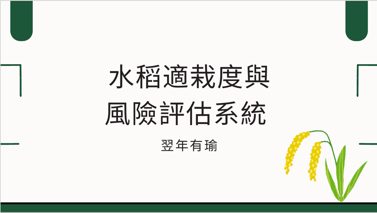 隊伍照片