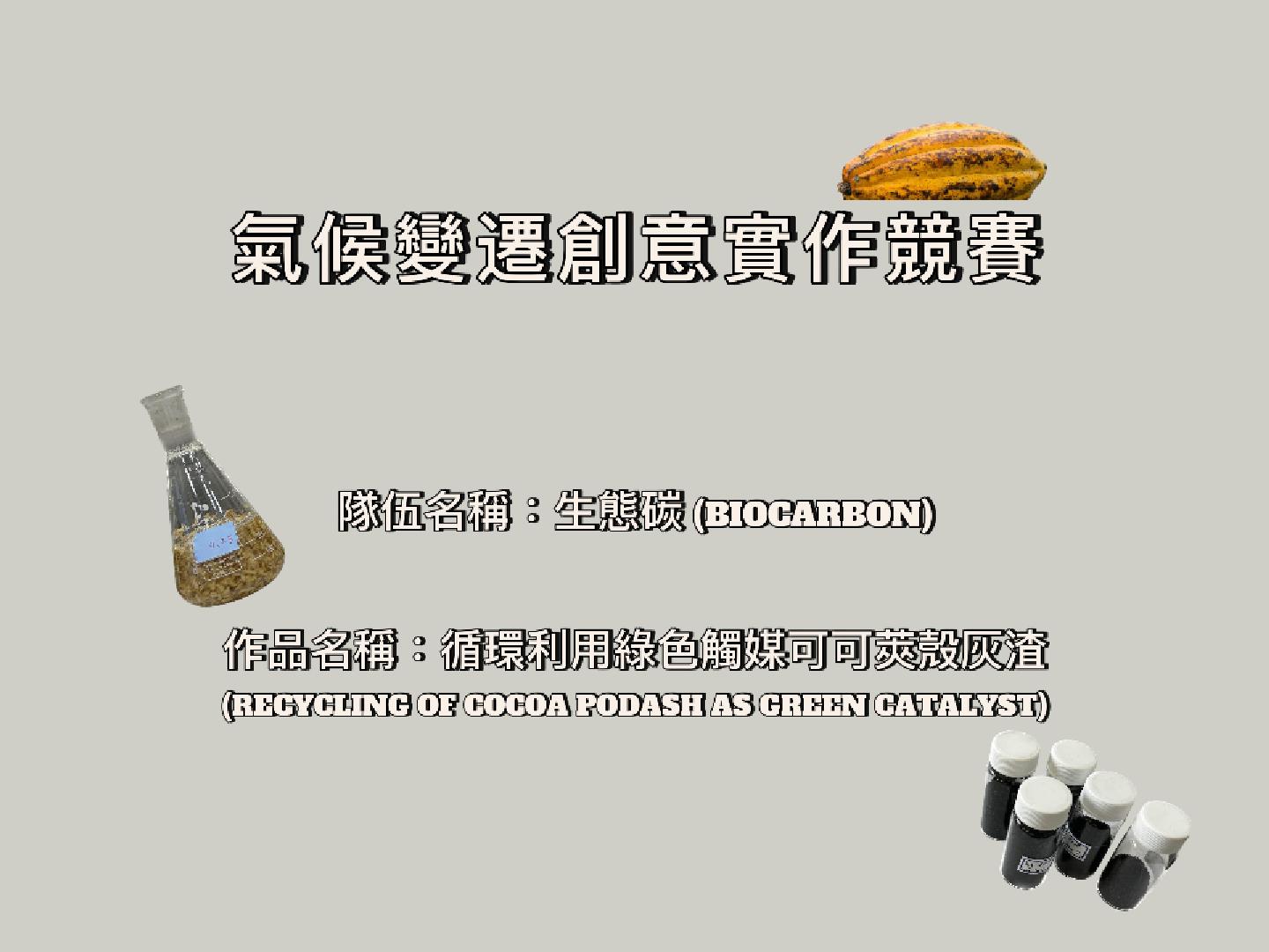 隊伍照片